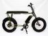 Электровелосипед Eco-bike Пикник 750W Темно-зеленый